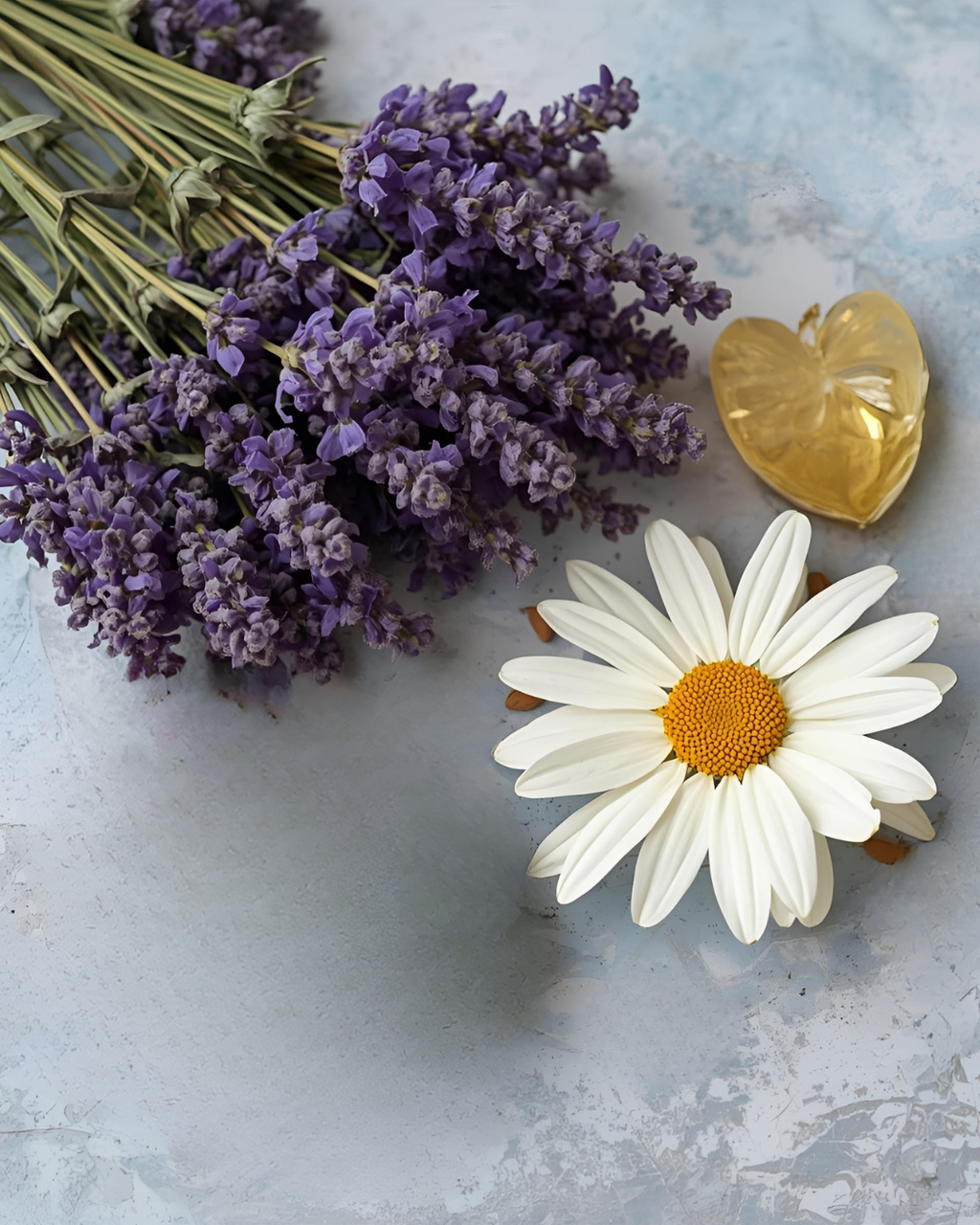 Lavender Arnica Tallow Cream - 2oz